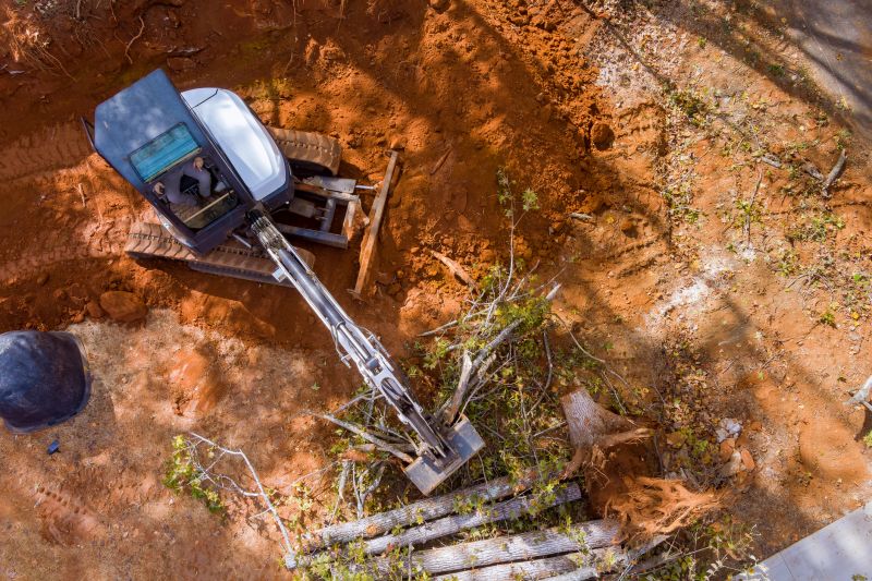 Increase Your Land Clearing Business with an AI Driven, Targeted Website