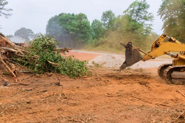 Cost of Ground Clearing in Chesterfield