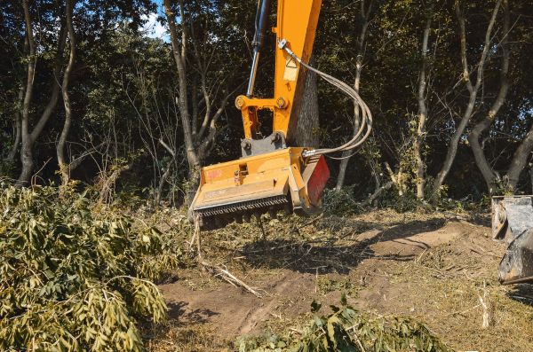 Cost of Brush Removal Service in Chesterfield