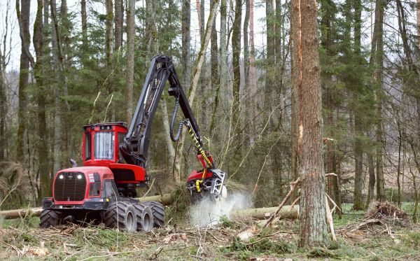 Cost of Forest Clearance Service in Chesterfield