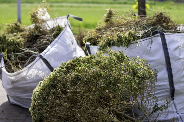 Cost of Bushes Clearing in Chesterfield