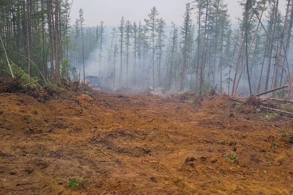 Cost of Hill Clearing in Chesterfield