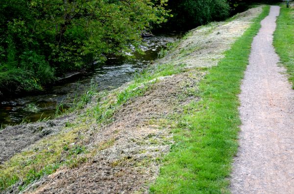 Cost of Trail Cutting in Chesterfield